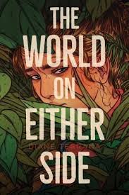 The World On Either Side By Diane Terrana Book Publishing Free Books Download Books