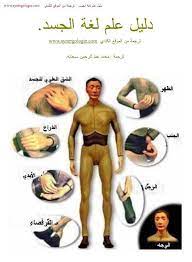 تحميل كتاب تحميل كتاب لغة الجسد بالصور philosophy books self development books free books online