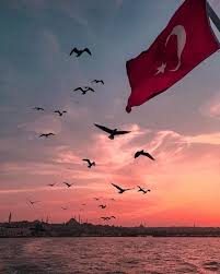 Fahne flagge türkei türkisch sport. Pin Auf Wallpapers