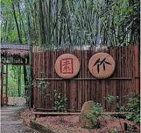Amazon.com : Natural Bamboo Fencing, Decorative Rolled Fence ...