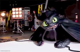 Hiccups Toothless No No Put It Down Put It Down How Train Your Dragon How To Train Your Dragon How To Train Dragon