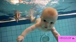 Pantas saja pada jago renang. Bayi Berenang Belajar Yuck Menaklukan Kolam Renang Youtube