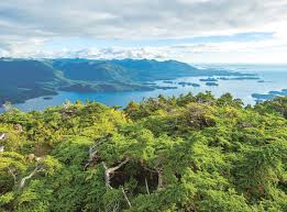 The Wilderness Society 2021 Gratitude Report