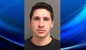 Franconia man sentenced for two-vehicle fatal last year in Horsham