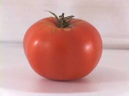 Tomato Time Lapse Tomato Time Rotten Tomatoes