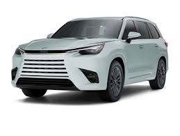 Image result for Wind Chill 2024 TX