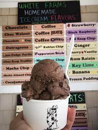 Travel Blog In Search Of A Scoop