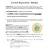 Answer keys, answer key for cell division by mitosis, cell division gizmo answers, cell division packet answers, cell division answers biology, student. 1