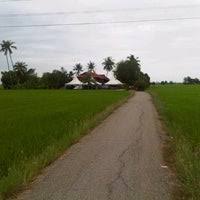 Welcome to the kota sarang semut google satellite map! Kota Sarang Semut Kota Sarang Semut Kedah