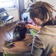 Dreadstylist Chemnitz Diy Dreadlocks Baby Dreads Dread Hairstyles Dreads