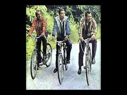 Laksamana Do Re Mi Junglekey In Image