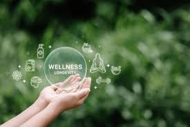 Wellness & Lifestyle