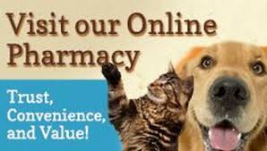 Įmonės pawsitive pet care clinic veiklos vieta: Home Veterinarian In Flatwoods Ky All About Animals Veterinary Clinic