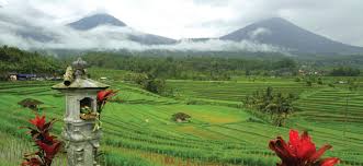 Tahukah kamu bahwa bersepeda santai dapat menjaga kesehatan organ peredaran darah, khususnya jantung? Materi Dan Kunci Jawaban Tematik Kelas 5 Tema 5 Subtema 2 Halaman 69 70 71 73 74 75 Gawe Kami