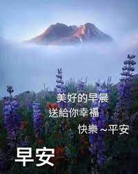 pin by lau fung on 早安 花in 2020 morning images good morning images good morning images hd