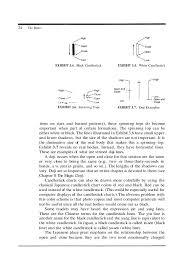 Japanese Candlestick Charting Techniques By Steve Nison