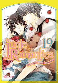 Junjo Romantica T19: NAKAMURA, Shungiku: 9782820325389: Amazon.com: Books