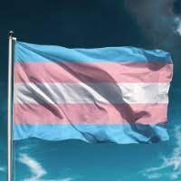 Transgender flag was added to emoji 13.0 in 2020. Transgender Pride Flag Grand Rapids Pride Center