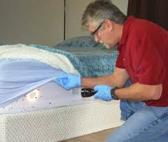 Do it yourself pest control. How To Spot Bed Bugs Bed Bug Hiding Spots North East Bay Area Ca