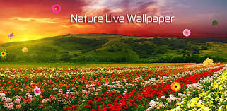 Feel free to use these 4k live images as a background for your pc, laptop, android phone, iphone or tablet. Nature Live Wallpaper 1 0 8 Download Android Apk Aptoide