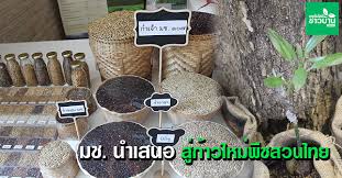 Reg cmu, สำนักทะเบียน มช, ลงทะเบียน มช, ระบบลงทะเบียน มช, เว็บสำนัก. à¸¡à¸Š à¸™à¸³à¹€à¸ªà¸™à¸­ à¸ª à¸ à¸²à¸§à¹ƒà¸«à¸¡ à¸ž à¸Šà¸ªà¸§à¸™à¹„à¸—à¸¢ à¹€à¸—à¸„à¹‚à¸™à¹‚à¸¥à¸¢ à¸Šà¸²à¸§à¸š à¸²à¸™