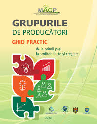 Ghid Practic Grupuri De Producatori By Victoria È™argu Issuu