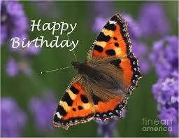 Sold by faith and family and ships from amazon fulfillment. Happy Birthday Butterfly Photograph By Karen Lindquist