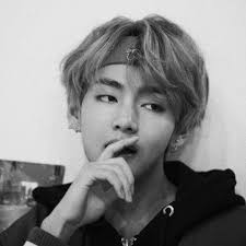 Stream AnimalAura music