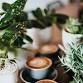Coffee Catch Up - Anlaby event image