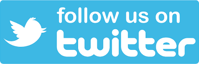 Image result for follow twitter icon