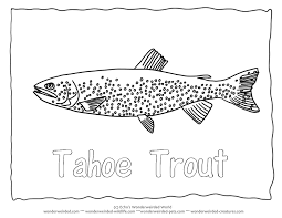 Tahoe Trout Colouring Pages 2 Fish Coloring Sheet With Trout Pictures Fisch Ausmalbilder Kostenlose Ma Fish Coloring Page Coloring Pages Animal Coloring Pages