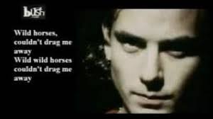 "wild horses" covered by Bush