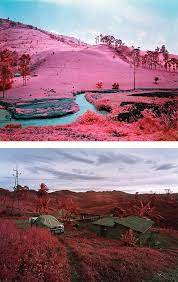 Inspiration Grid Design Inspiration Meta Property Nature Photography Color Photography Photo