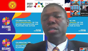 My Contribution to a Side Event During CSW 69