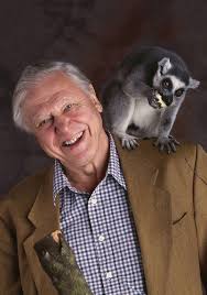 Sir David Attenborough reveals worst moment of 60-year long career