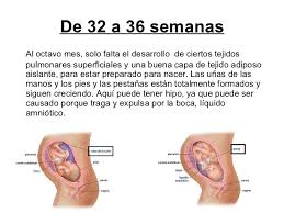 5 meses son 153 días (o menos si incluyen febrero), lo que nos da que 25 semanas son 5 meses y 22 días. A Las Cuantas Semanas Nace Un Bebe Kumpulan Berbagai Skripsi