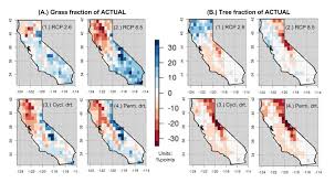more reliable carbon sink than trees