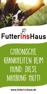 Sprechen Sie Vor Der Futterung Mit Ihrem Tierarzt Bei Athritis Hanfol Bei Blasenschwache Leinol Bei D Hunde Futter Getreidefreies Hundefutter Hundefutter