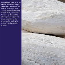 Image result for Synaptolepis