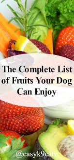 The Complete List Of Fruits Your Dog Can Enjoy Foods Dogs Can Eat Fruit Dogs Can Eat Food Dogs Cant Eat