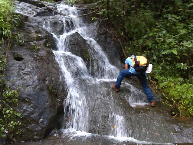 Day II, Impenetrable forests and leeches | walkforpamba