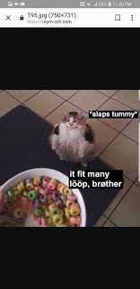 It Fit Many Loop Brother Funny Animal Memes Funny Memes Really Funny