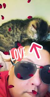 Maestro A very charming boy, full of energy and personality. He's not  really one for cuddles—unless he's tired or looking for a bit of comfort.  Maestro doesn't worry about what you expect