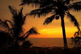 Outpost resort and spa is a perfect retreat for a quiet holiday. Here S Why A Vacation Home In Alibaug Should Be On Your Bucket List