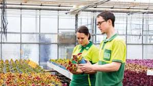 Anschließend bauen sie nach anleitung ein hochbeet in ihrem garten in dem alle kräuter ihren platz finden. Gewinnspiel Gutschein Fur Nachhaltige Gartenprodukte Bei Pflanzen Kolle Gewinnspiele