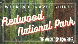 This is the national park itself managed by national park services and is the largest of the four parks. 10 Fun Things To Do In Redwood National Park Weekend Travel Guide