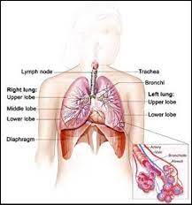 The doctor guides a thin, lighted tube through your nose or mouth and down the air. Delta Medix Scranton Doctors
