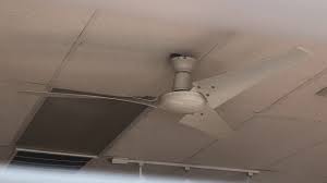 4.7 out of 5 stars (10) total ratings 10, $62.00 new. Hampton Bay Industrial Ceiling Fan 60 At Chinese Restaurant Greatest Hits Remake Youtube