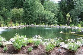 A great set of inspiring large pond #2 landscaping around large ponds photos displayed by kathryn nelson, home improvement expert of found out the following about homeowners insurance discount and ponds in texas. 9 Large Pond Ideas Ponds Backyard Pond Landscaping Pond