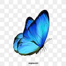 Watercolor Clipart Butterfly Clipart Butterfly Png Transparent Background Watercolor Butterfly In 2021 Butterfly Clip Art Butterfly Background Butterfly Watercolor